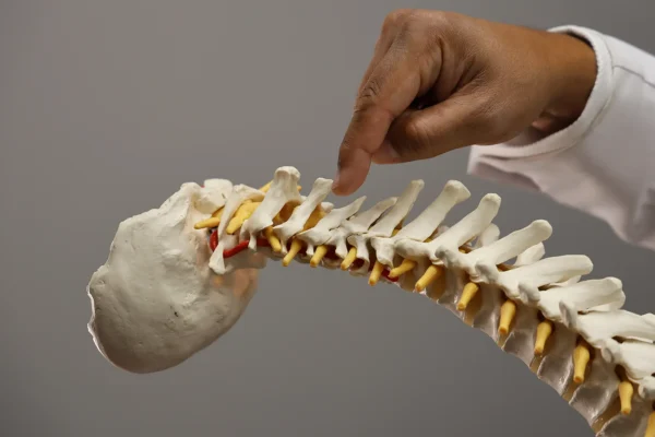 Pain management doctor points at model of spinal cord